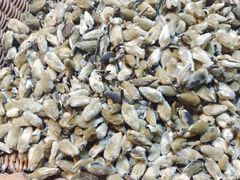 -洪山体育馆篮球馆