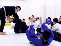 -菠萝格斗巴西柔术训练馆