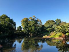 -墨尔本皇家植物园