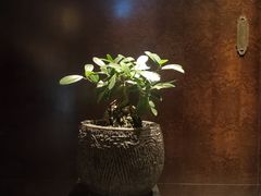 -南堂館川菜文化餐厅(天府店)