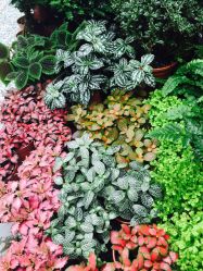 老黑造型-老黑造型