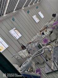 点击看大图 -痘敏医生专业祛痘连锁