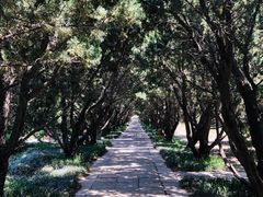 -洛阳古墓博物馆