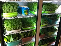 自助取餐区-东椰·海南椰子鸡火锅(朝阳门店)