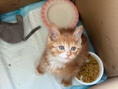 -天津前进宠物医院(前进道店)