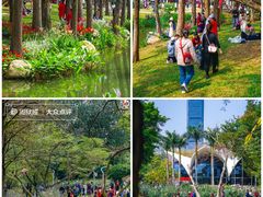 -人民公园(罗湖区)