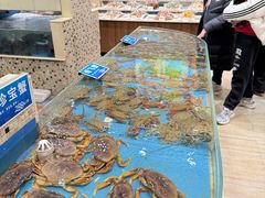 -双井轩(双井店)