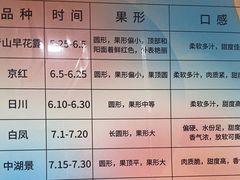 -老袁家蜜桃农场·阳山水蜜桃