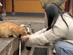 -龙华素斋(龙华路店)