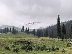 -新疆那拉提国家旅游度假区