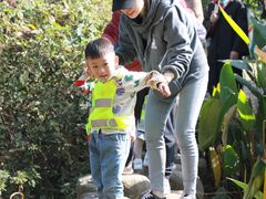 -杭州龙井幼儿园