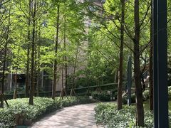 -龙湖·春森彼岸