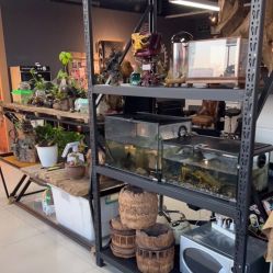 -周忆刺青原创设计定制