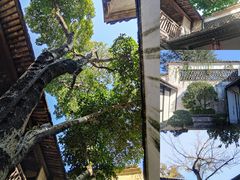 -绍兴鲁迅故里·沈园景区