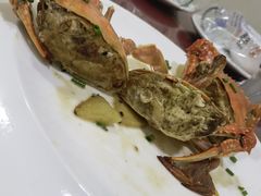 -梅子大排档