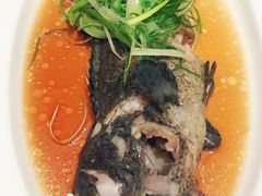 -云龙轩(迪士尼探索家度假酒店)