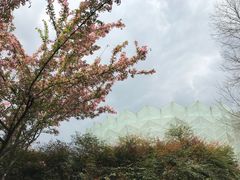 -金沙遗址博物馆