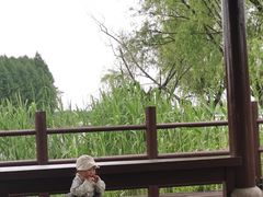 -苏州太湖国家湿地公园