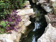 -昆山城市生态森林公园