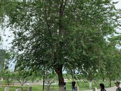 -西海子公园