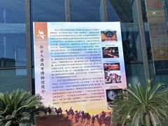 -西安大唐西市博物馆