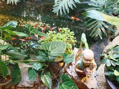 -聚缘堂·海鲜私房菜(松岭路店)