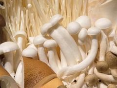 -鼎鼎香·港式火锅(北京SKP店)
