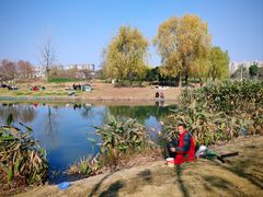-两河城市森林公园
