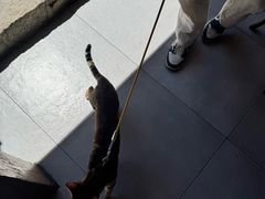 -京北渔家傲