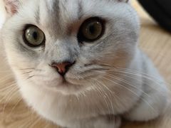 -瑞派宠物医院·犬猫全科·猫友好(宾水西道店)
