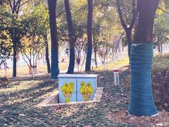 -天鹅湖体育公园