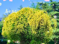 -渭滨公园