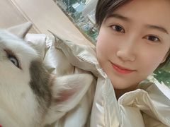 -Husky Go! 哈士奇体验馆·宠物咖啡厅狗咖