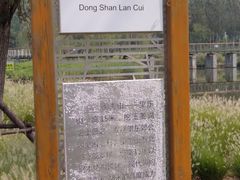 -东郊湿地公园