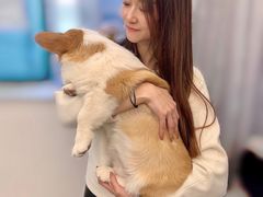 -浣熊柯尔鸭土拨鼠·电玩咖