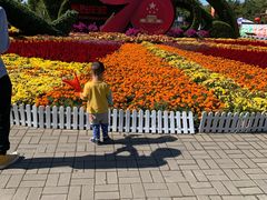 -大兴滨河森林公园