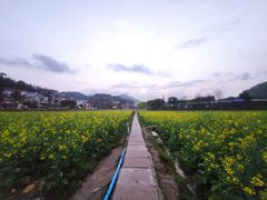 -红山村