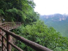 -鹿院坪生态旅游景区