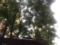 -VESH COFFEE(定西路店)