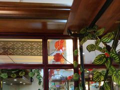 -蜀都三哥火锅店(力盟商业步行街店)