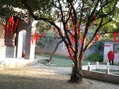 -花洲书院