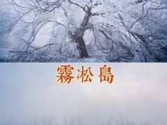 -雾凇岛