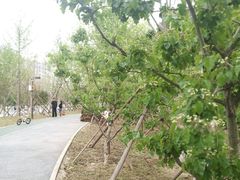 -回龙观体育文化公园