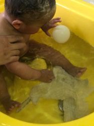 -贝贝熊(无锡长江绿岛店)