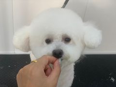 -北京恒爱动物医院(清景园分院)