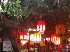 -万里闯关东铁锅炖菜馆(高新旗舰店)
