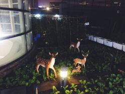 -梦田都市农场(银泰城店)