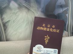 -美迦爱-牙专科·兔科·骨科诊疗中心(北苑店)