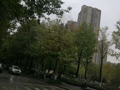 -龙头寺公园