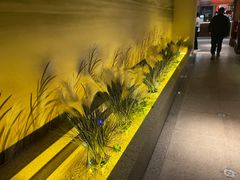 -東大方(湖州白鹭迎店)